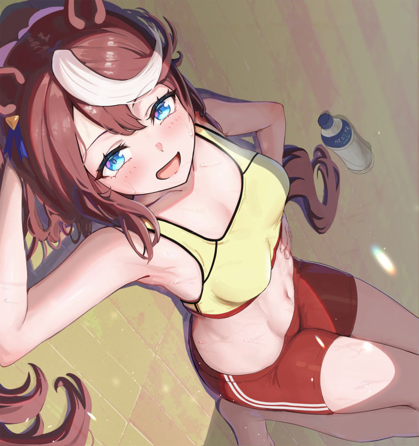Tokai Teio (Umamusume) Rule 34 Image