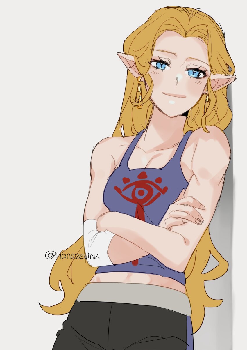 Princess Zelda (Nintendo) Rule 34 Image