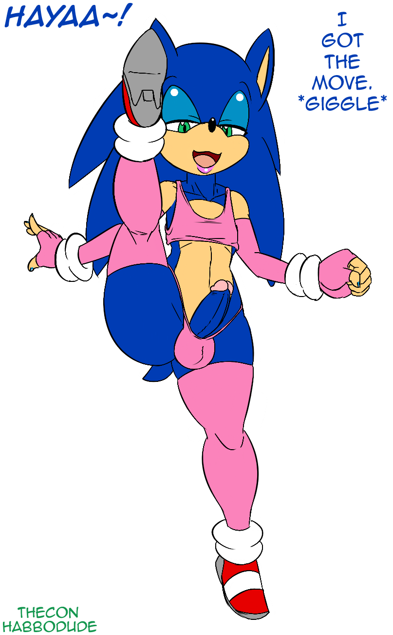 Sonic The Hedgehog (Sega) Rule 34 Image