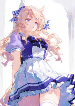Victoire Pisa (Umamusume) Rule 34 Image