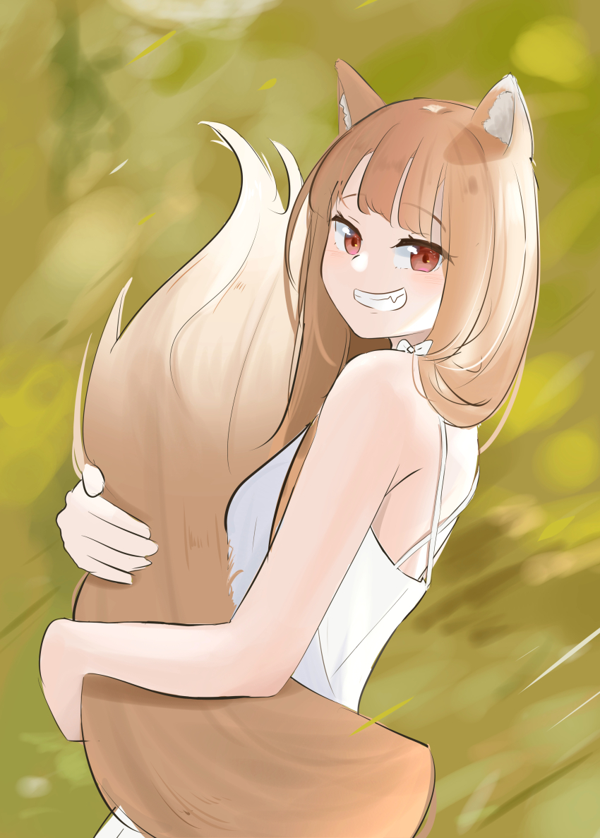 Holo (Spice And Wolf) Rule 34 Image