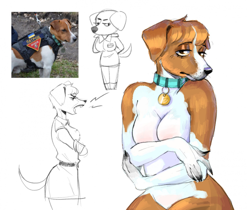 Anthro Rule 34 Image