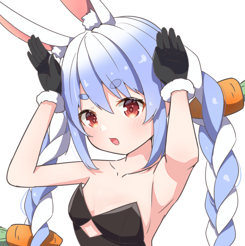 Usada Pekora (Hololive) Rule 34 Image