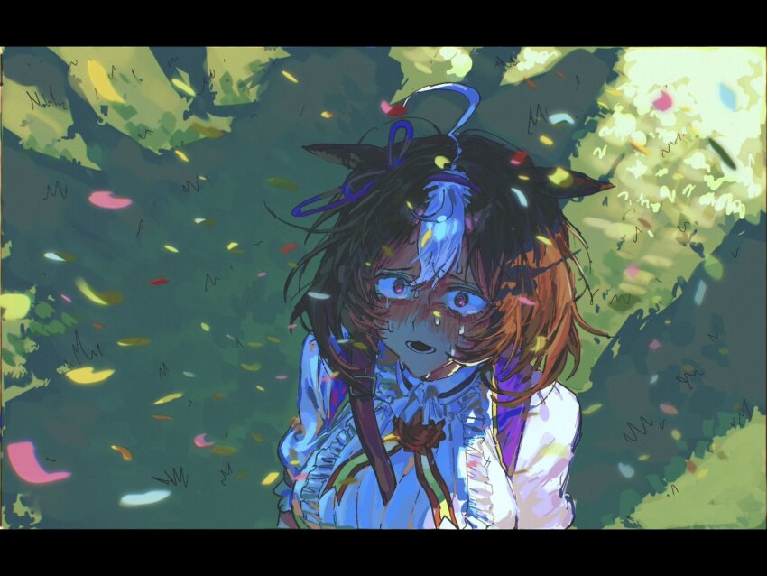 Meisho Doto (Turbulent Blue) (Umamusume) Rule 34 Image