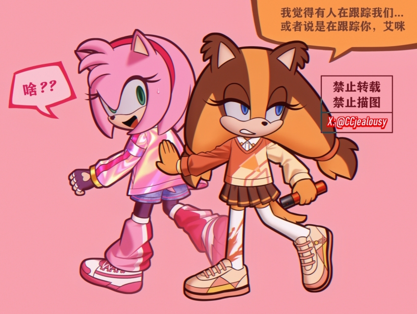 Amy Rose (Sonic (Series)) Rule 34 Image