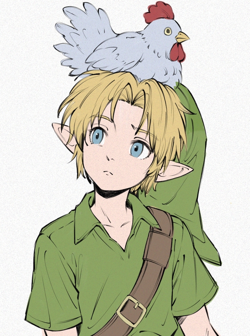 Cucco (Nintendo) Rule 34 Image