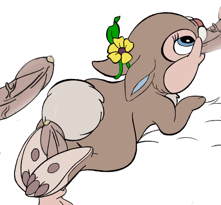 Thumper (Bambi (Film)) Rule 34 Image