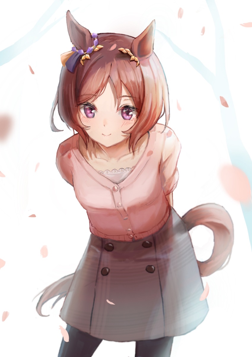 Sakura Laurel (Umamusume) Rule 34 Image