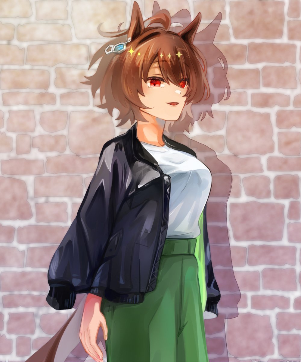 Agnes Tachyon (Umamusume) Rule 34 Image