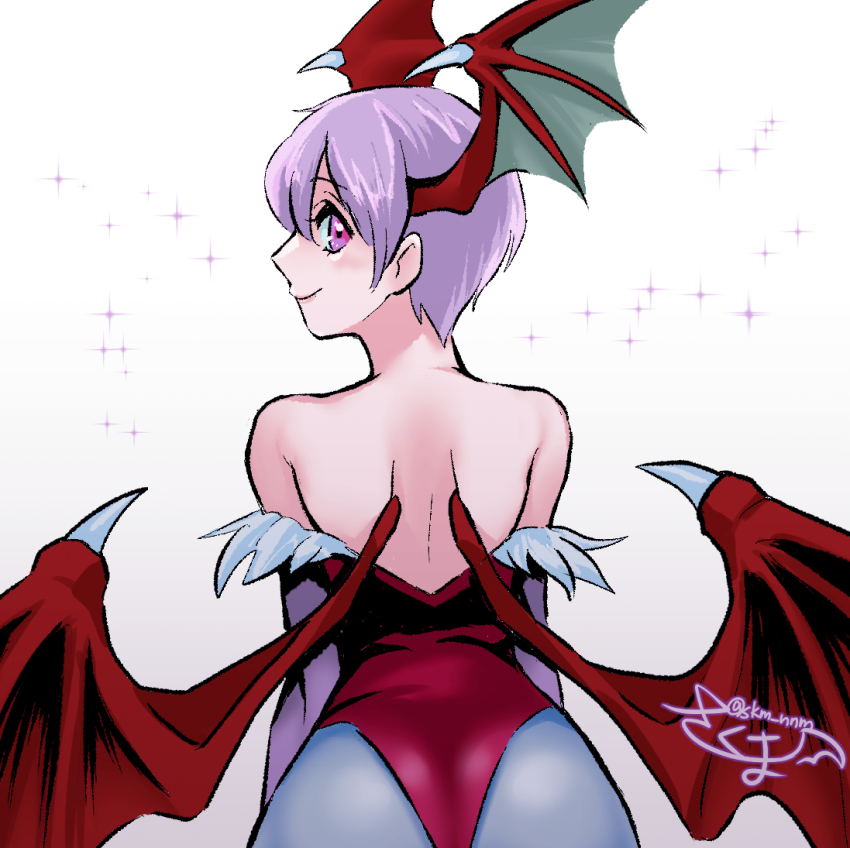 Lilith (Darkstalkers) Rule 34 Image