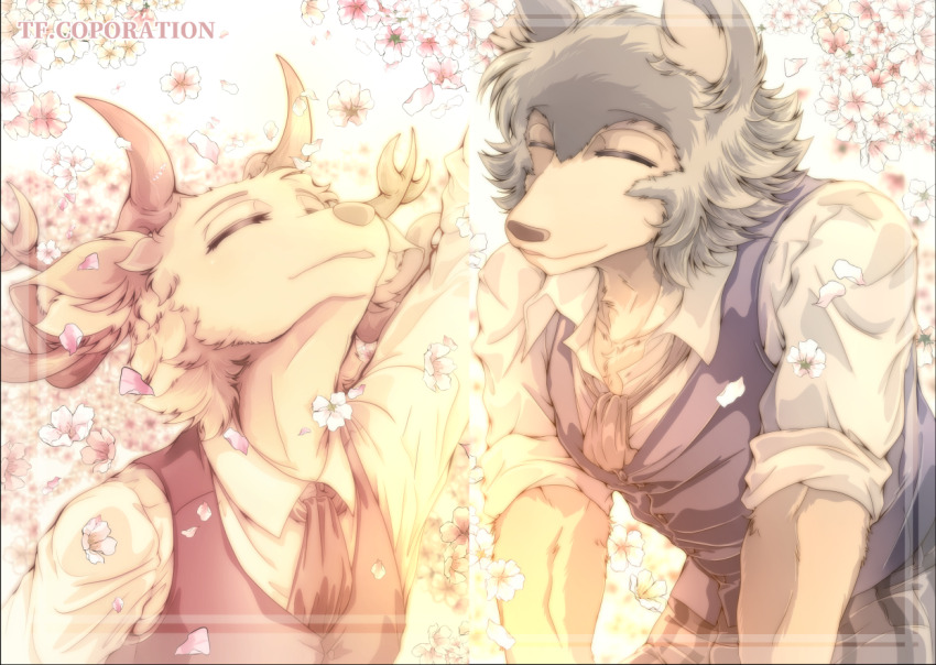 Louis (Beastars) Rule 34 Image
