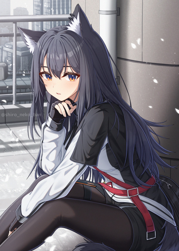 Texas (Arknights) Rule 34 Image