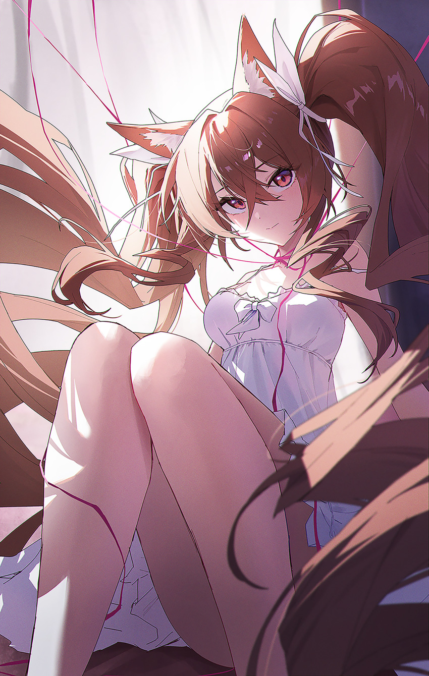 Angelina (Arknights) Rule 34 Image
