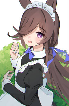 Rice Shower (Umamusume) Rule 34 Image