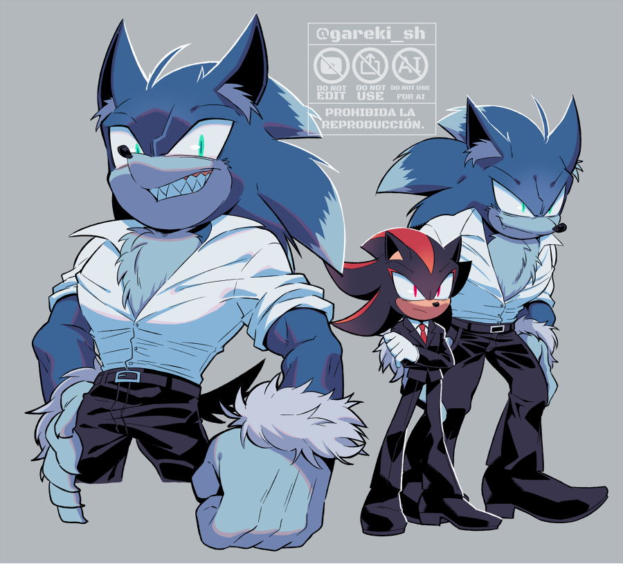 Shadow The Hedgehog (Sonic (Series)) Rule 34 Image