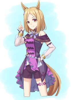 Narita Top Road (The Proud Road) (Umamusume) Rule 34 Image
