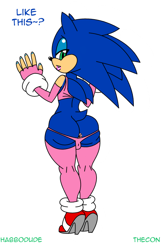 Sonic The Hedgehog (Sega) Rule 34 Image