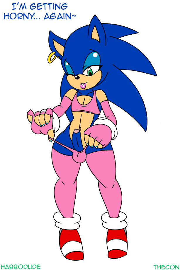 Sonic The Hedgehog (Sega) Rule 34 Image