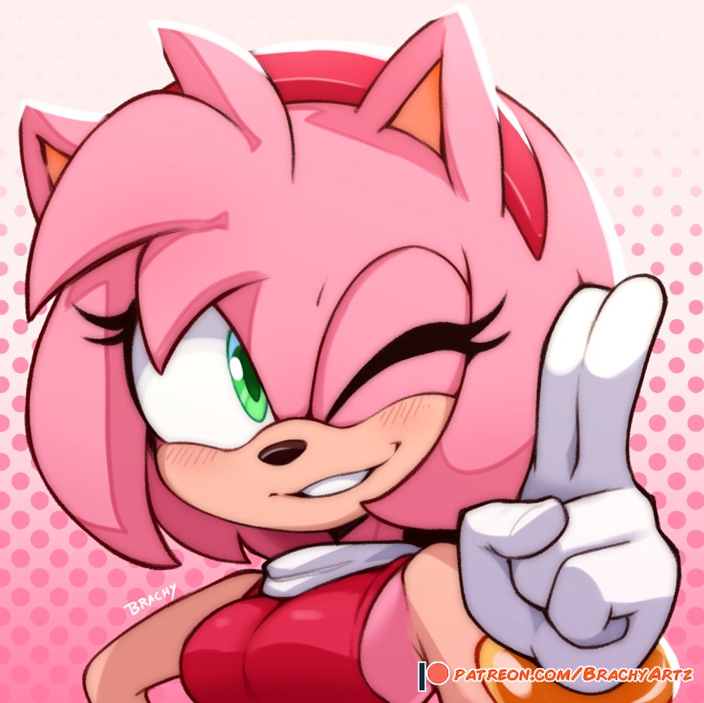 Amy Rose (Sonic (Series)) Rule 34 Image