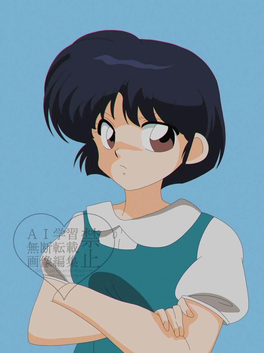Ranma 1/2 Rule 34 Image