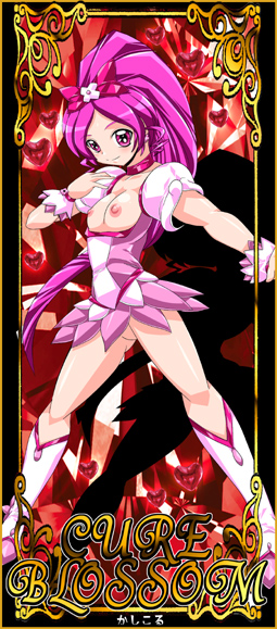 Cure Blossom (Heartcatch Precure!) Rule 34 Image