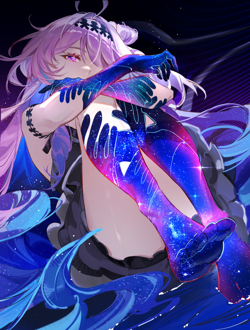 Denia (Wuthering Waves) Rule 34 Image