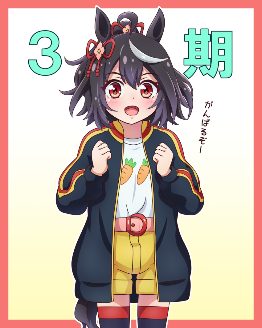 Kitasan Black (Umamusume) Rule 34 Image