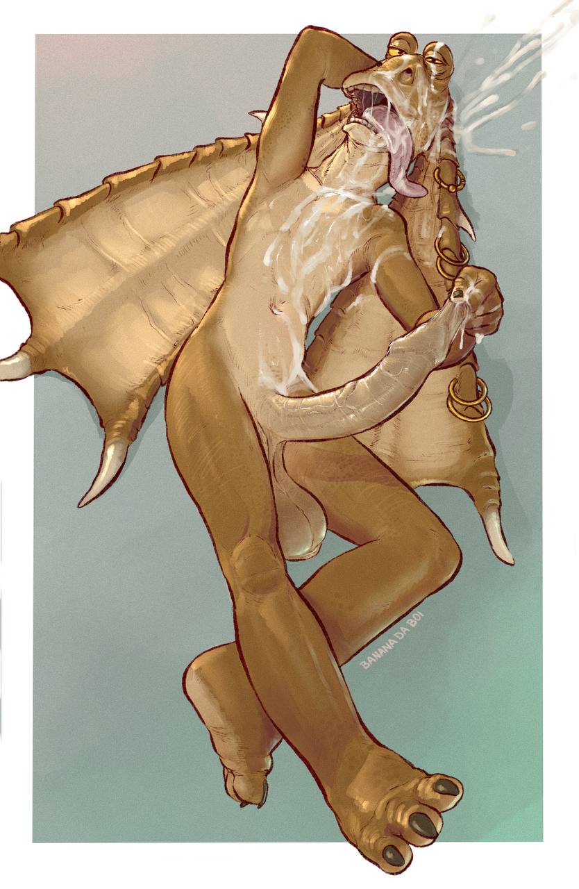 Haillu (Anatomy) Rule 34 Image