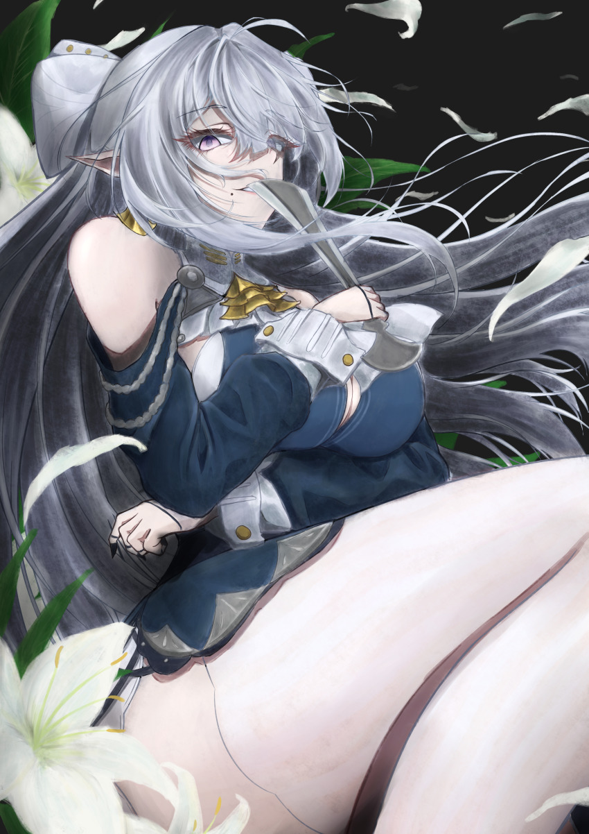 Velina Airgid (Zenless Zone Zero) Rule 34 Image