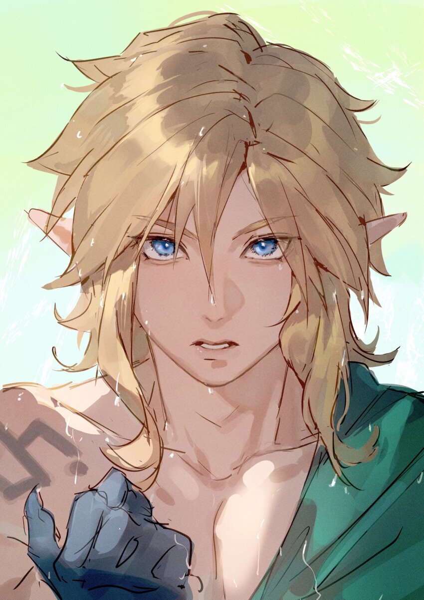 Link (Nintendo) Rule 34 Image