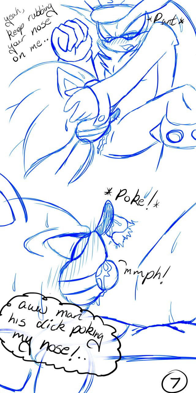 Sonic (Series) Rule 34 Image