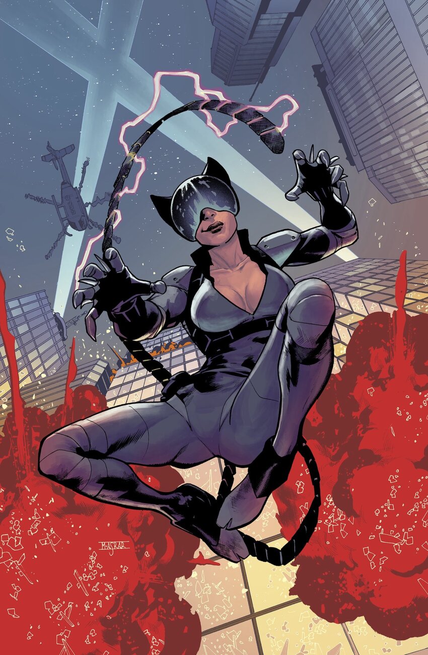 Catwoman (Absolute Dc) Rule 34 Image