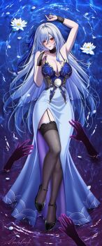 Honkai (Series) Rule 34 Image