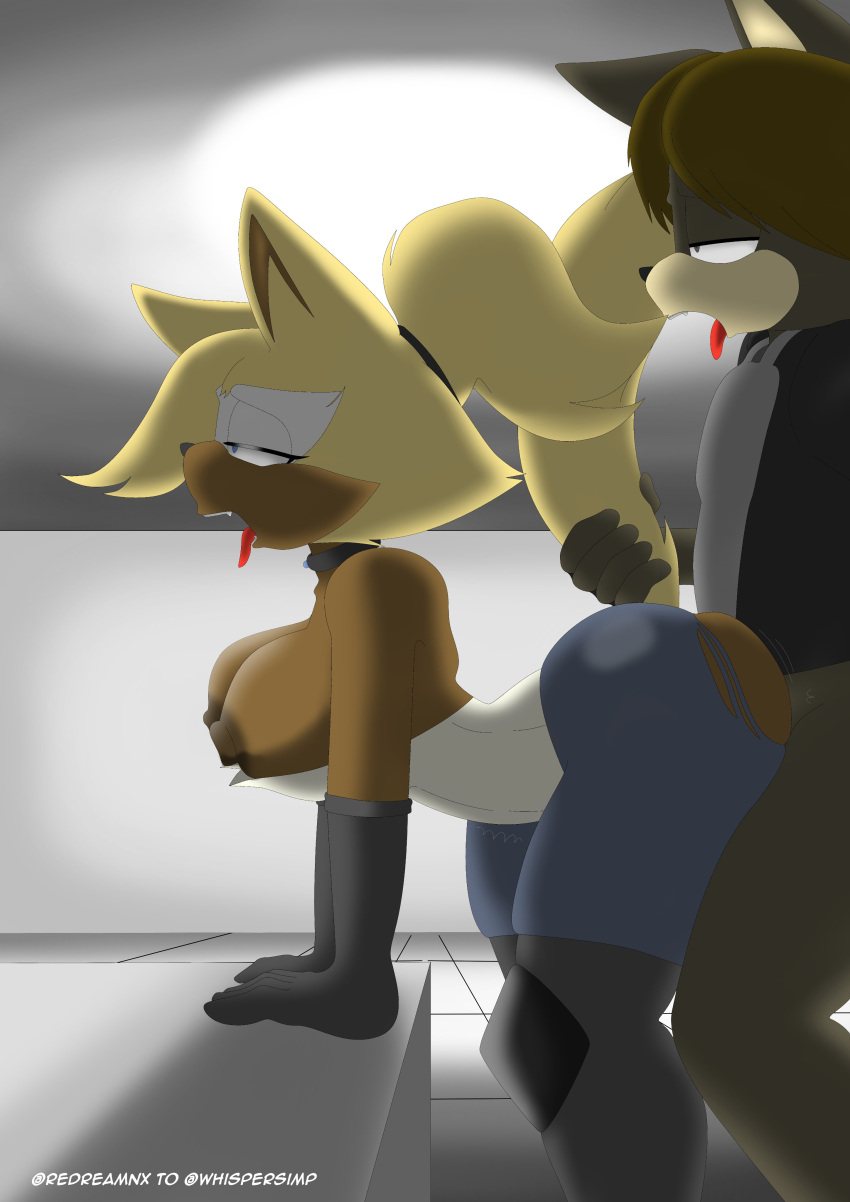 Oc (Idw Publishing) Rule 34 Image