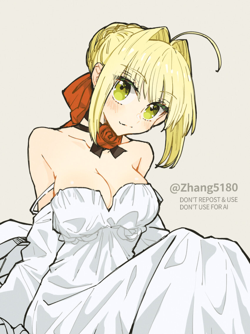 Nero Claudius (Fate) Rule 34 Image