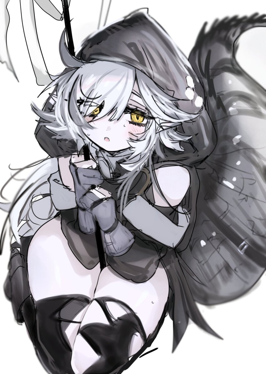 Tomimi (Arknights) Rule 34 Image
