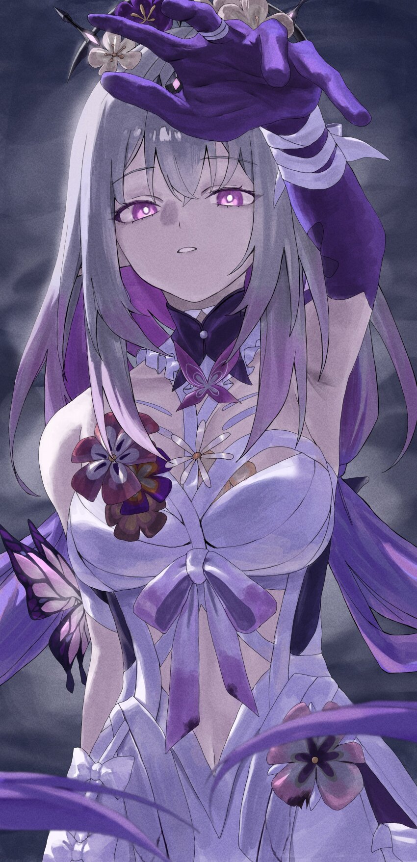 Castorice (Honkai: Star Rail) Rule 34 Image