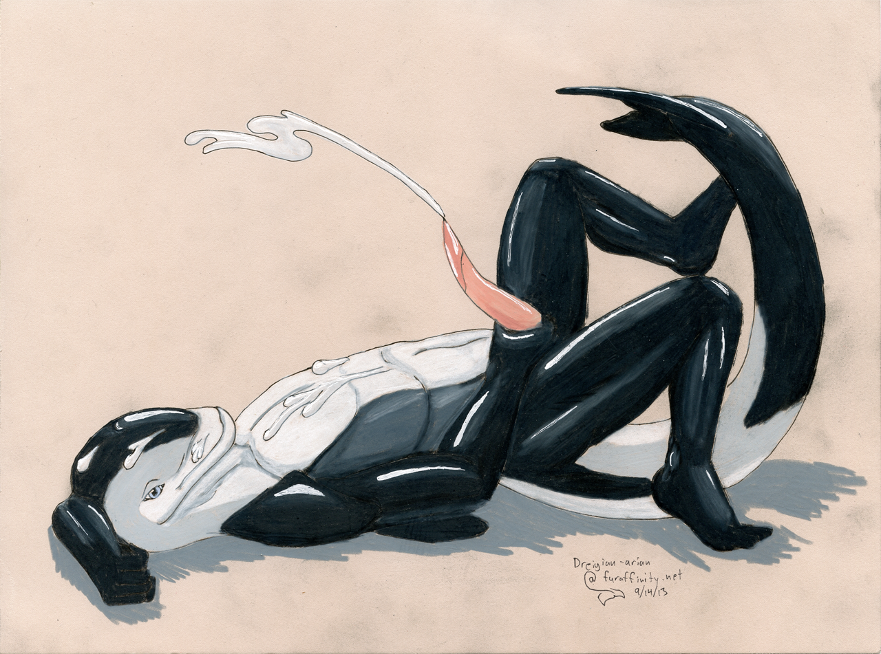 Cetacean Rule 34 Image