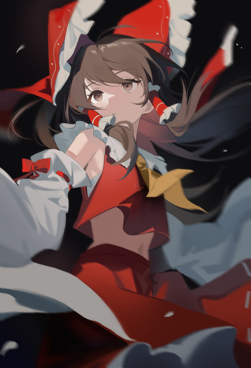 Hakurei Reimu (Touhou) Rule 34 Image