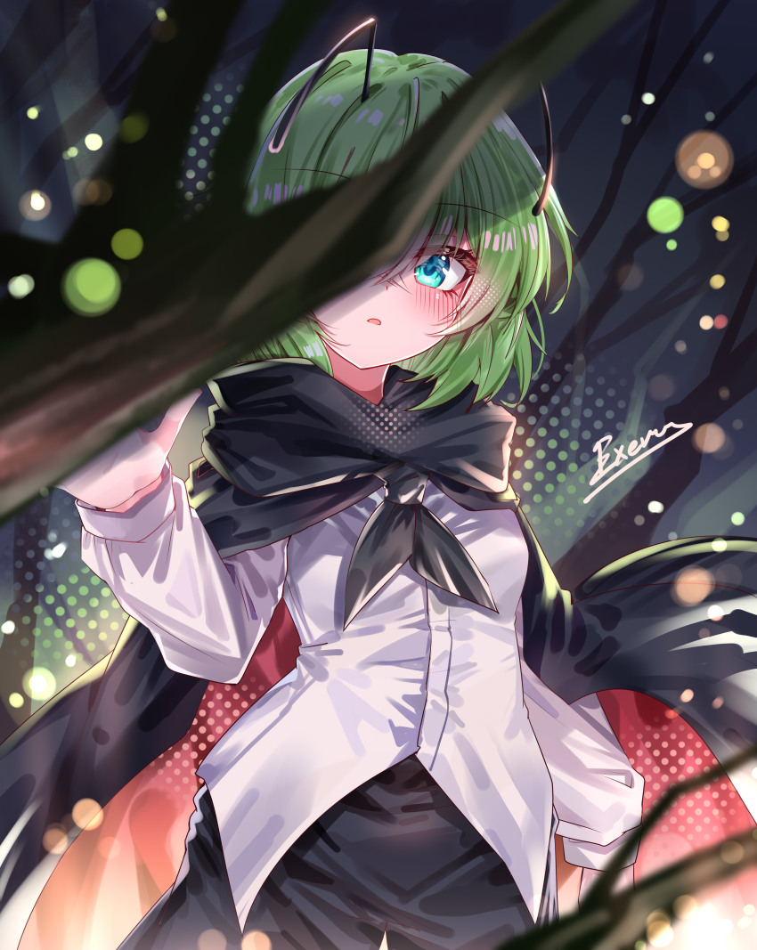 Wriggle Nightbug (Touhou) Rule 34 Image