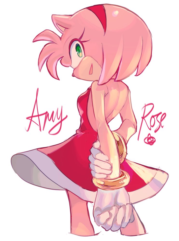 Amy Rose (Sonic (Series)) Rule 34 Image