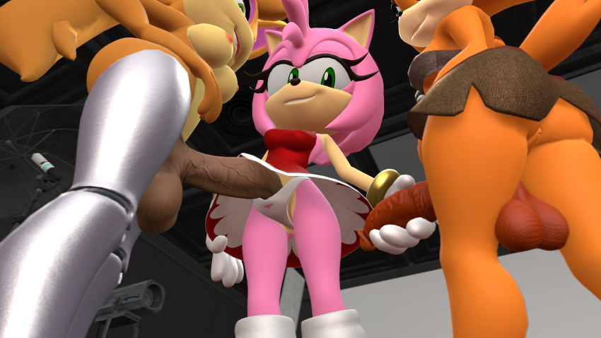 Amy Rose (Sega) Rule 34 Image