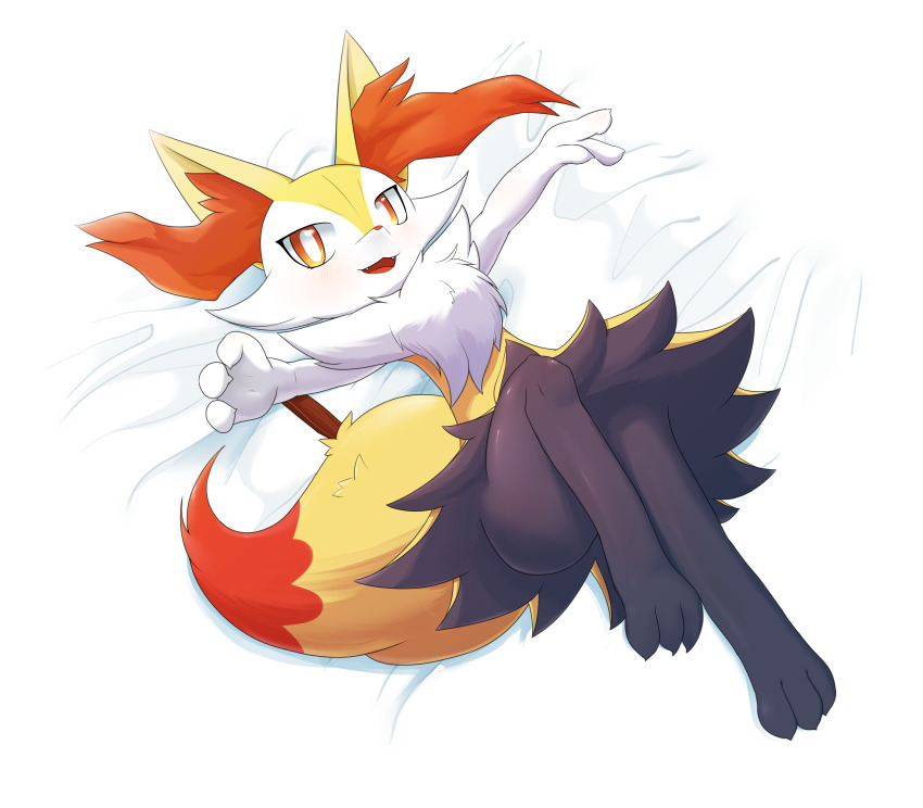 Braixen (Nintendo) Rule 34 Image