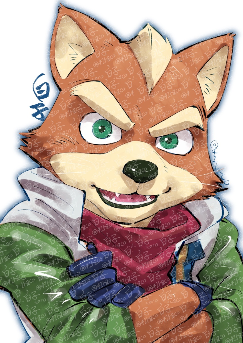 Fox Mccloud (Mario (Series)) Rule 34 Image