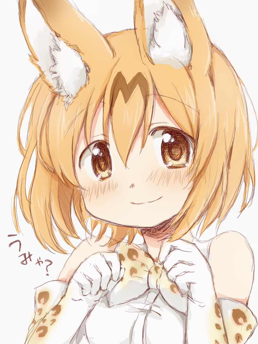 Serval (Kemono Friends) Rule 34 Image