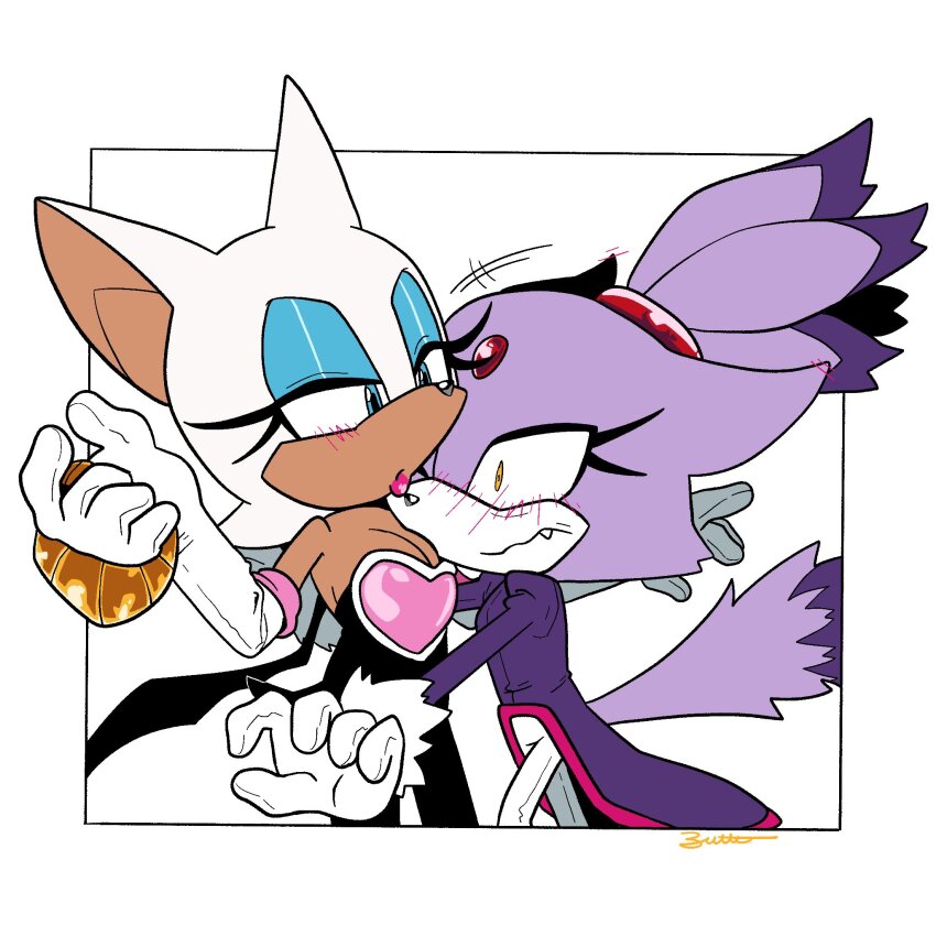 Blaze The Cat (Sonic (Series)) Rule 34 Image