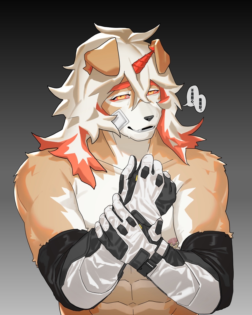 Hung (Arknights) Rule 34 Image