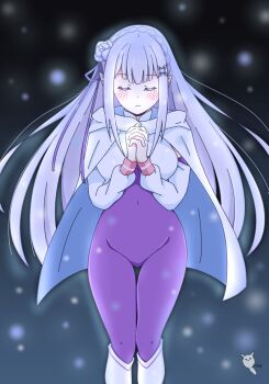 Emilia (Re:Zero) Rule 34 Image