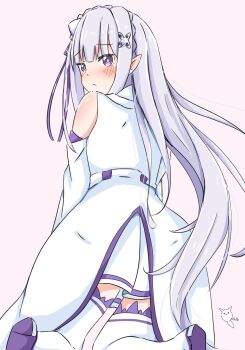 Emilia (Re:Zero) Rule 34 Image