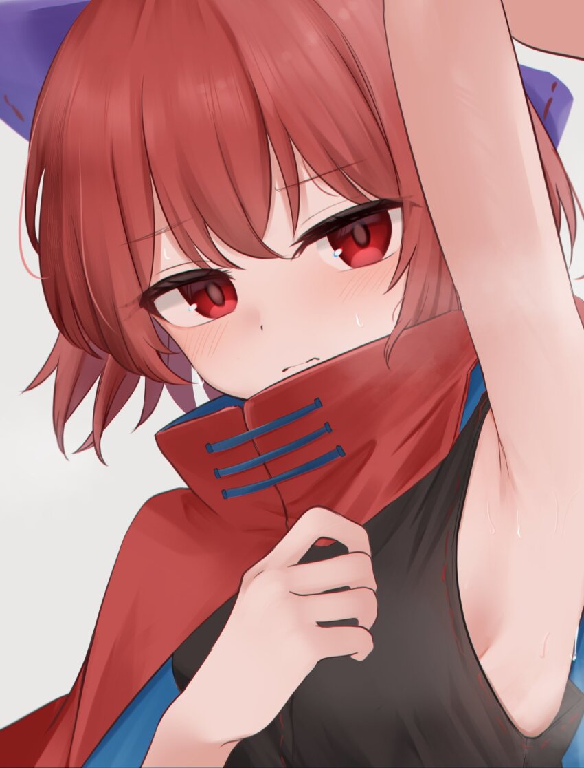 Sekibanki (Touhou) Rule 34 Image